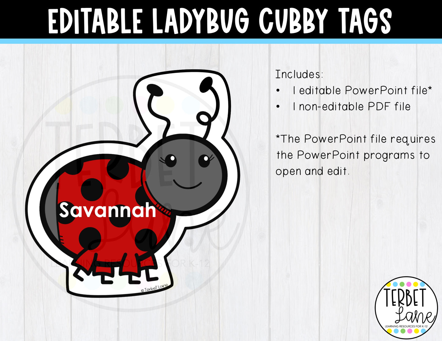 Editable Ladybug Spring Cubby Tags | Spring Locker Labels