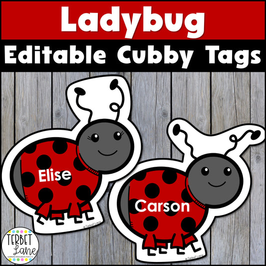 Editable Ladybug Spring Cubby Tags | Spring Locker Labels